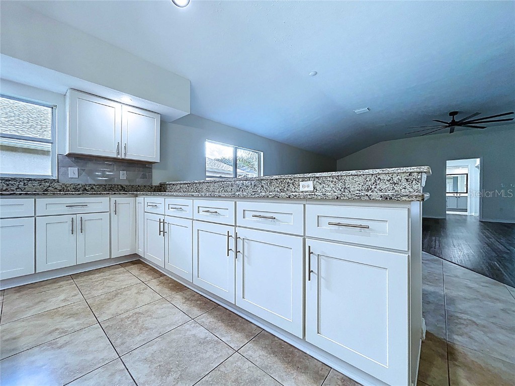 17307 Lockwood Ridge Drive Tampa FL 33647 TB8453094 image27