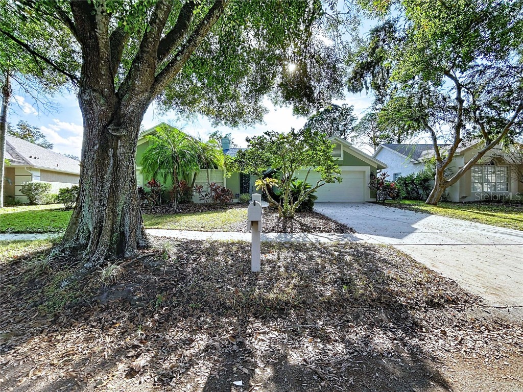 17307 Lockwood Ridge Drive Tampa FL 33647 TB8453094 image4