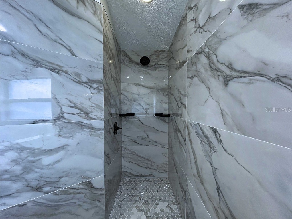 17307 Lockwood Ridge Drive Tampa FL 33647 TB8453094 image43