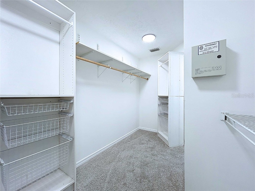 17307 Lockwood Ridge Drive Tampa FL 33647 TB8453094 image46