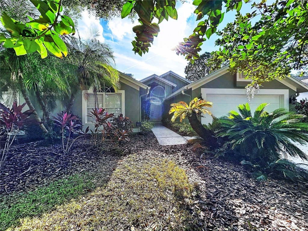 17307 Lockwood Ridge Drive Tampa FL 33647 TB8453094 image6