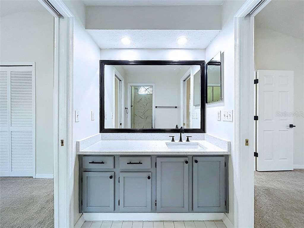 17307 Lockwood Ridge Drive Tampa FL 33647 TB8453094 image61