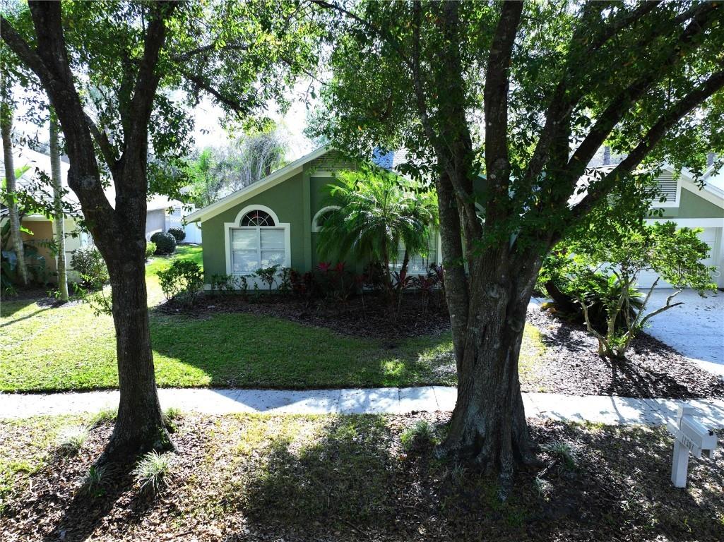 17307 Lockwood Ridge Drive Tampa FL 33647 TB8453094 image95