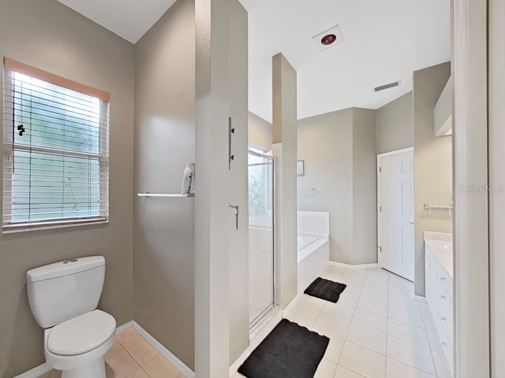 17307 Oak Ledge Drive Lutz FL 33549 TB8429933 image34