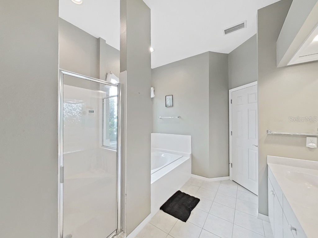 17307 Oak Ledge Drive Lutz FL 33549 TB8429933 image35