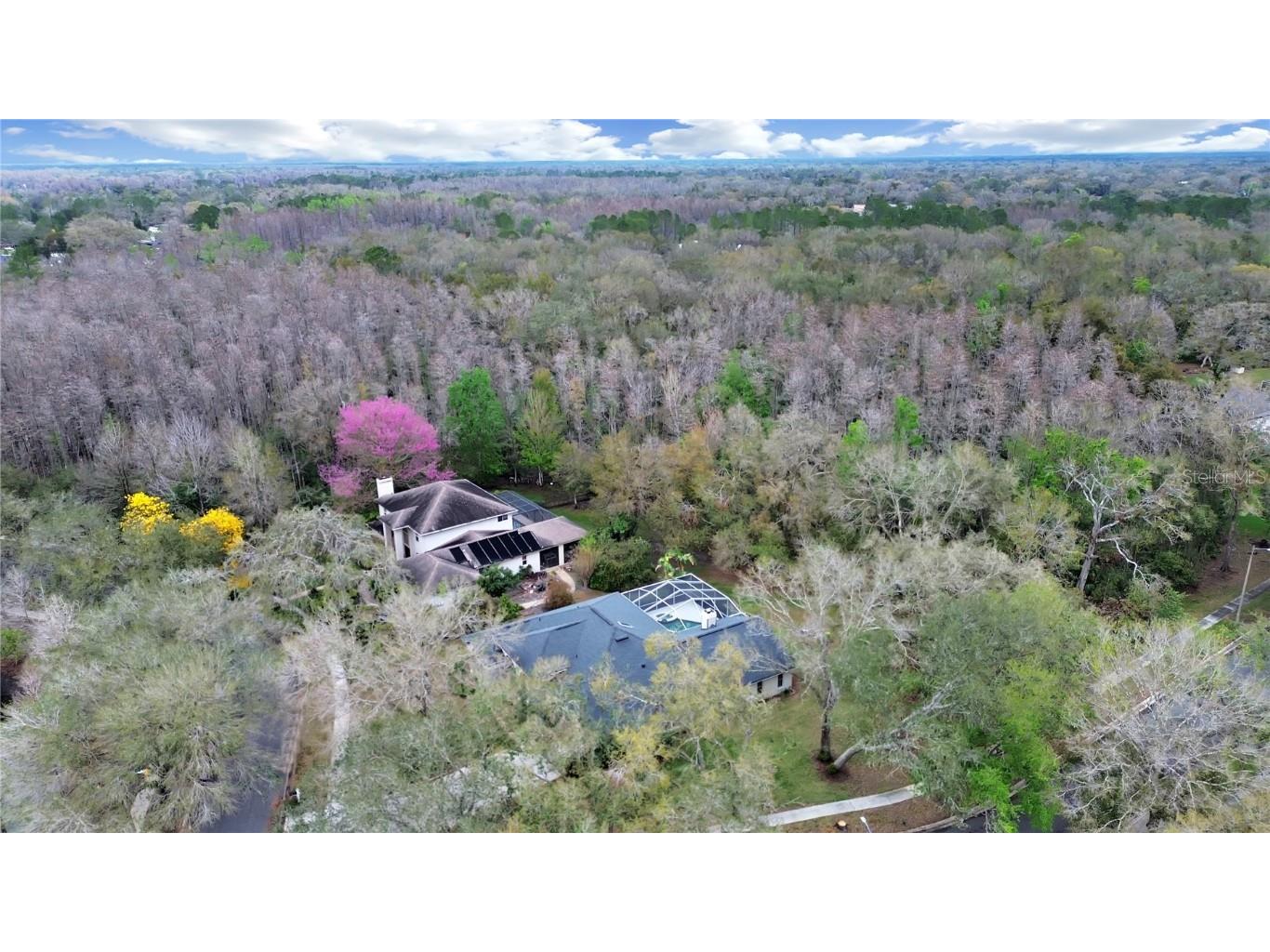 17307 Oak Ledge Drive Lutz FL 33549 TB8429933 image44