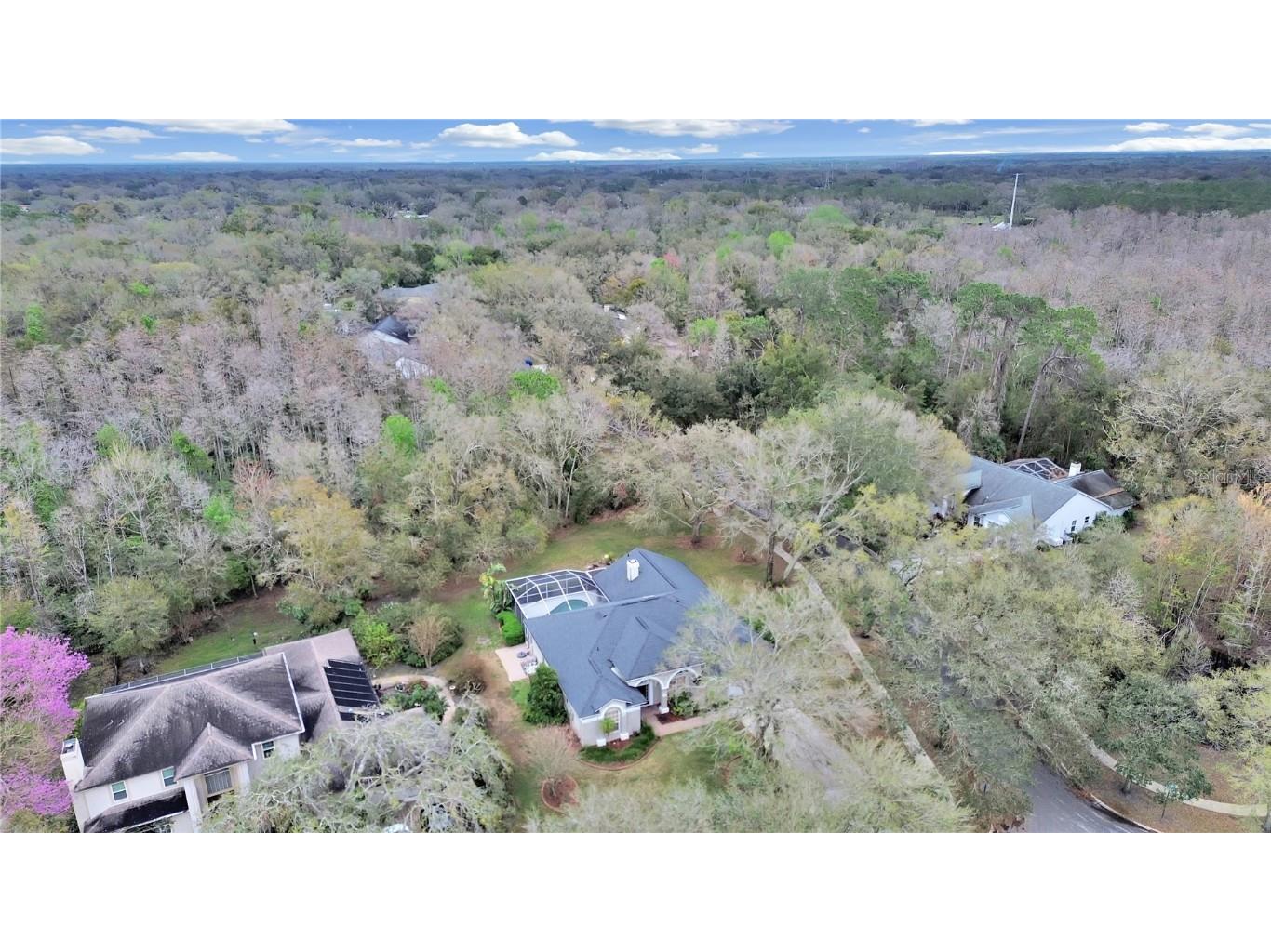 17307 Oak Ledge Drive Lutz FL 33549 TB8429933 image45