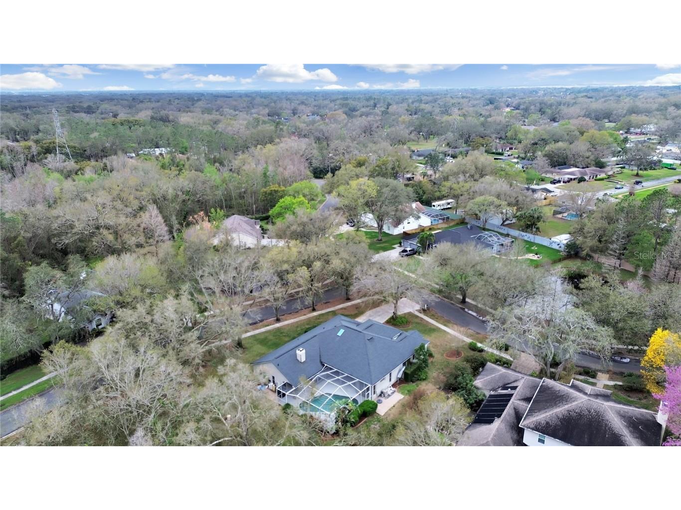 17307 Oak Ledge Drive Lutz FL 33549 TB8429933 image46