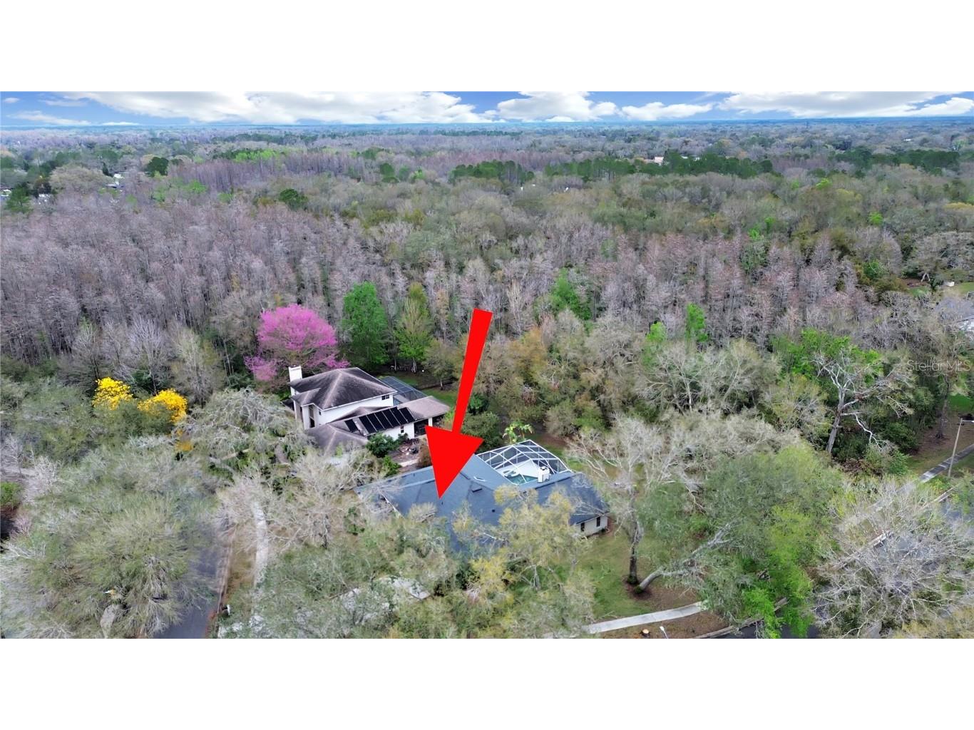 17307 Oak Ledge Drive Lutz FL 33549 TB8429933 image48