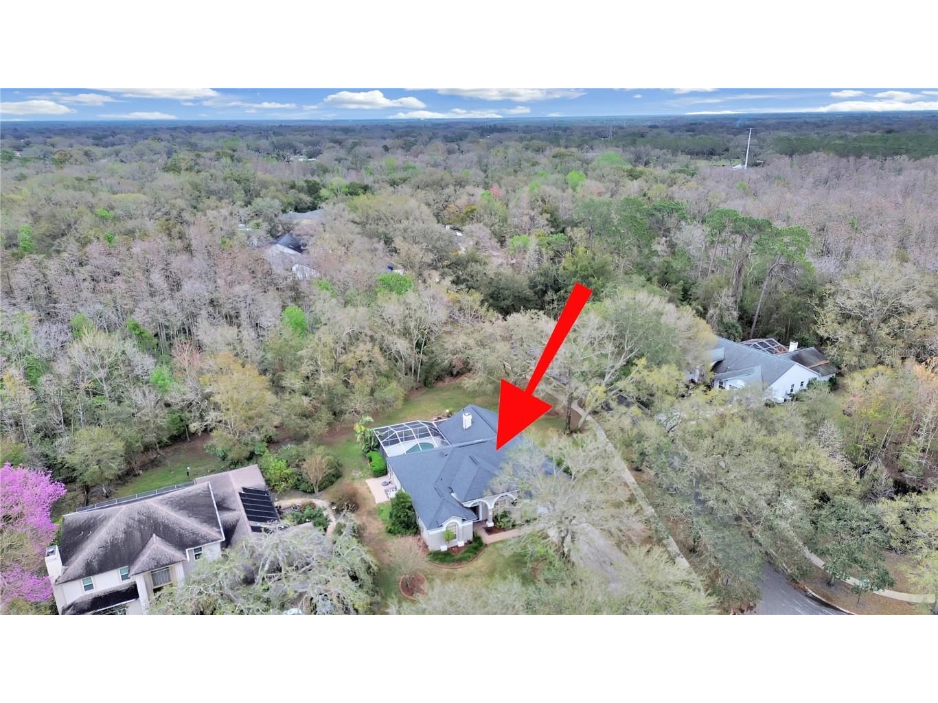 17307 Oak Ledge Drive Lutz FL 33549 TB8429933 image49