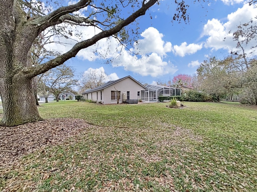 17307 Oak Ledge Drive Lutz FL 33549 TB8429933 image53