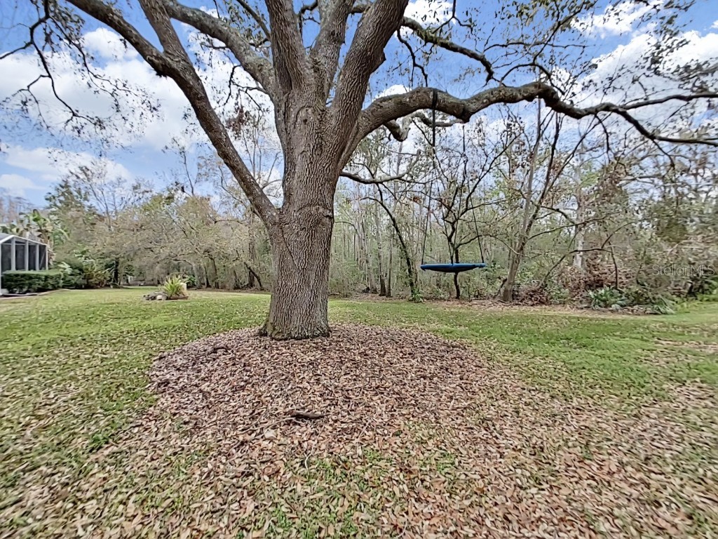 17307 Oak Ledge Drive Lutz FL 33549 TB8429933 image54