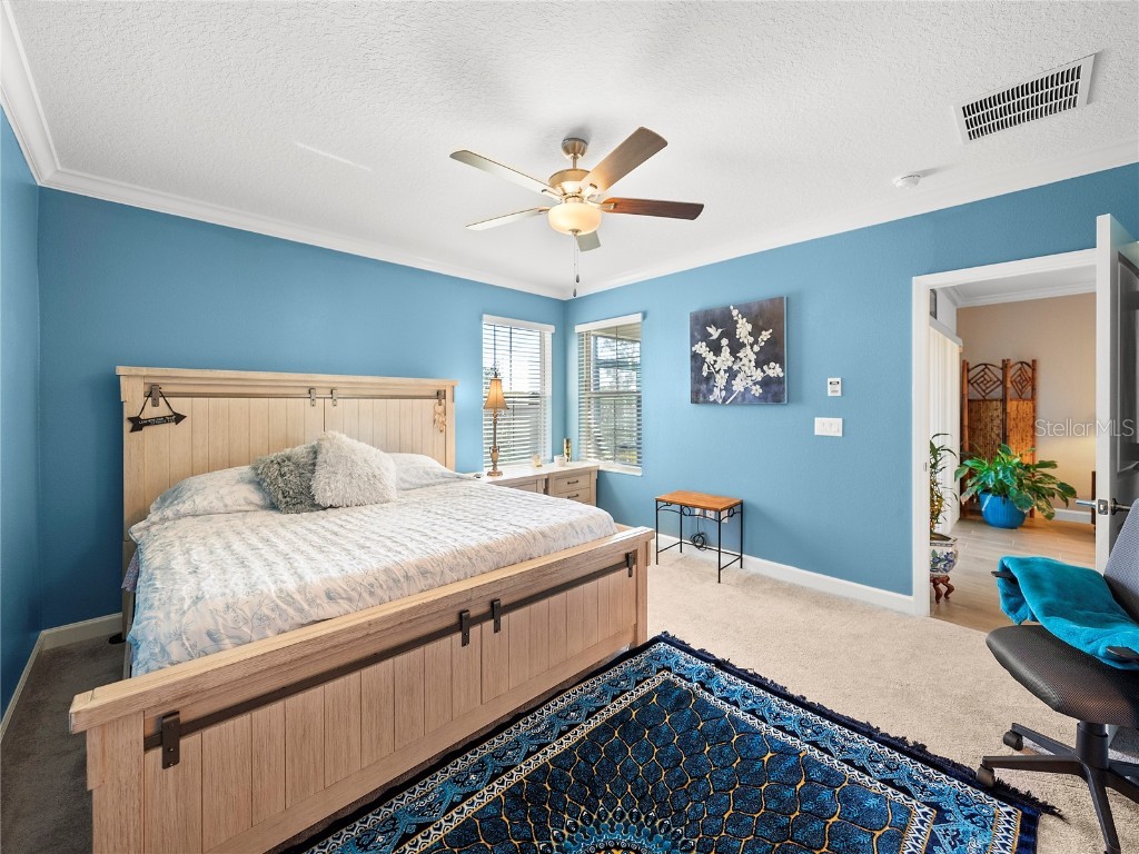 17308 Holly Well Avenue Wimauma FL 33598 TB8447097 image21