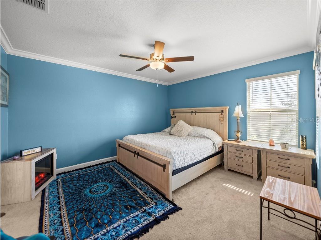 17308 Holly Well Avenue Wimauma FL 33598 TB8447097 image22