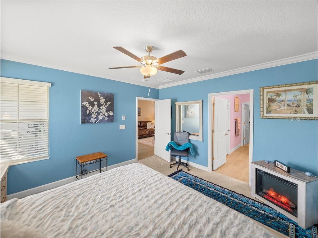 17308 Holly Well Avenue Wimauma FL 33598 TB8447097 image23