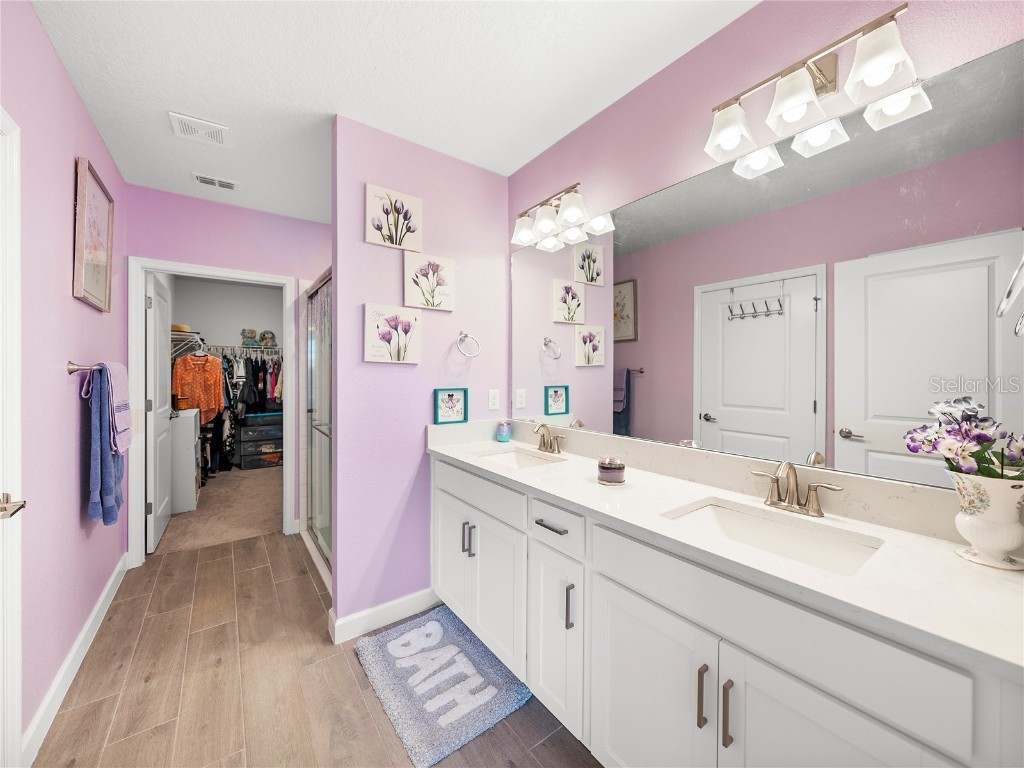 17308 Holly Well Avenue Wimauma FL 33598 TB8447097 image24