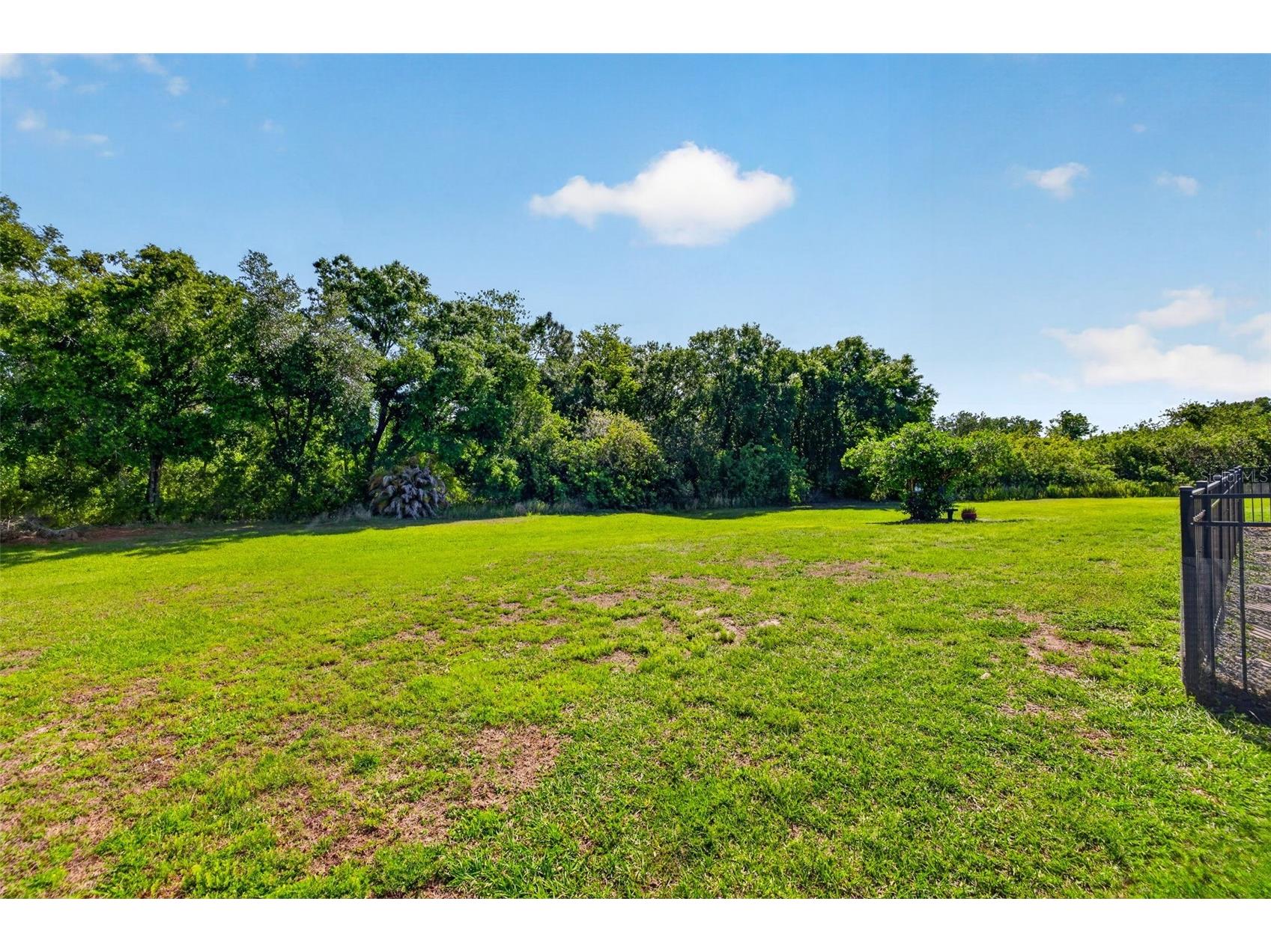 17308 Howling Wolf Run Parrish FL 34219 TB8498318 image51