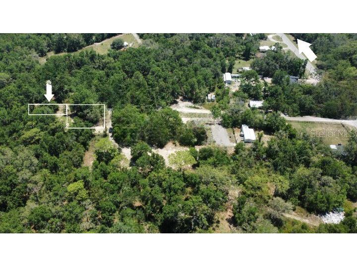 17308 Putter Lane Spring Hill FL 34610 O6354127 image3