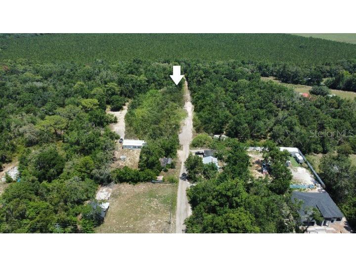 17308 Putter Lane Spring Hill FL 34610 O6354127 image4