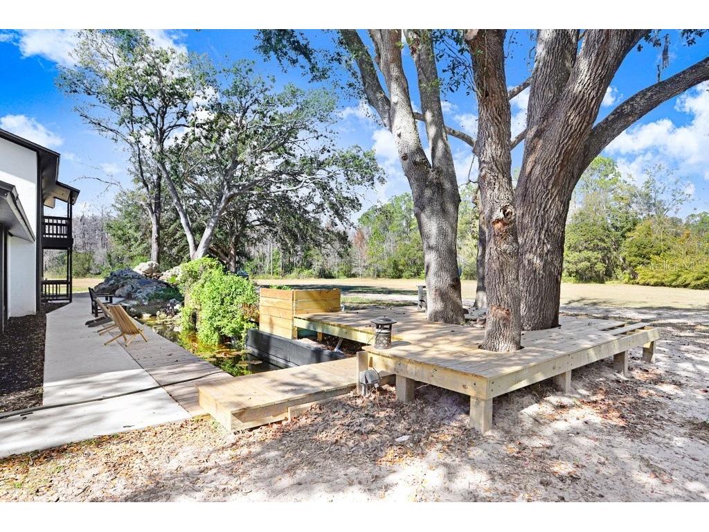 17308 Tobacco Road Lutz FL 33558 TB8473838 image2