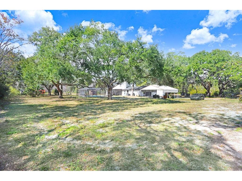 17308 Tobacco Road Lutz FL 33558 TB8473838 image25