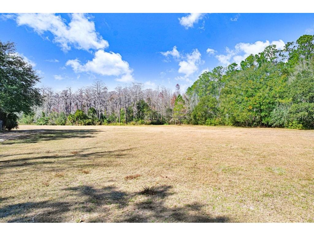 17308 Tobacco Road Lutz FL 33558 TB8473838 image29