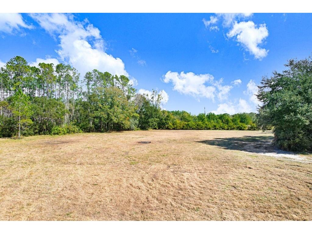 17308 Tobacco Road Lutz FL 33558 TB8473838 image30