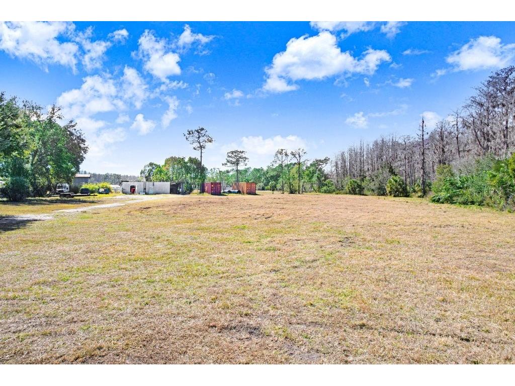 17308 Tobacco Road Lutz FL 33558 TB8473838 image31