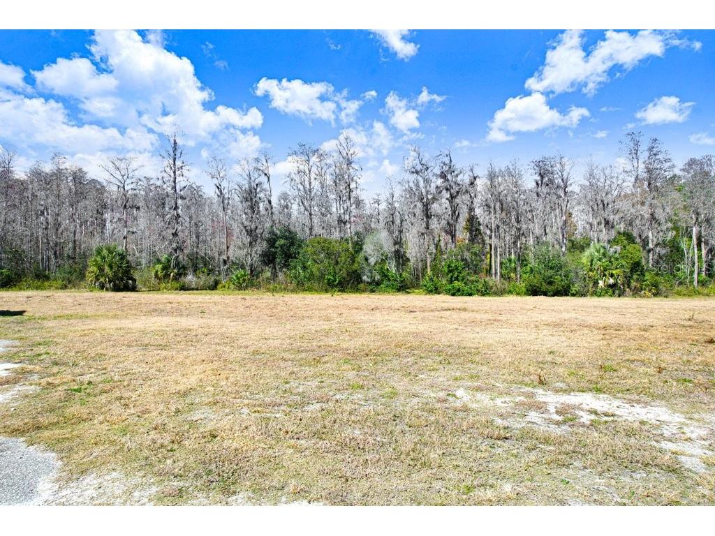 17308 Tobacco Road Lutz FL 33558 TB8473838 image32