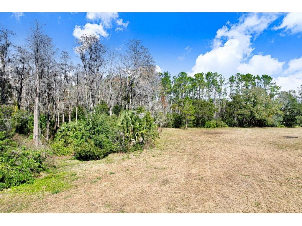 17308 Tobacco Road Lutz FL 33558 TB8473838 image33