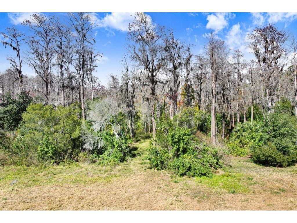 17308 Tobacco Road Lutz FL 33558 TB8473838 image34