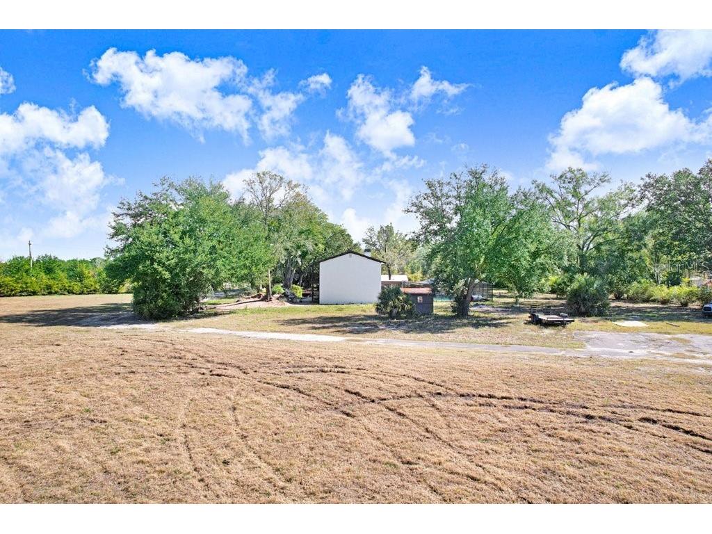 17308 Tobacco Road Lutz FL 33558 TB8473838 image35