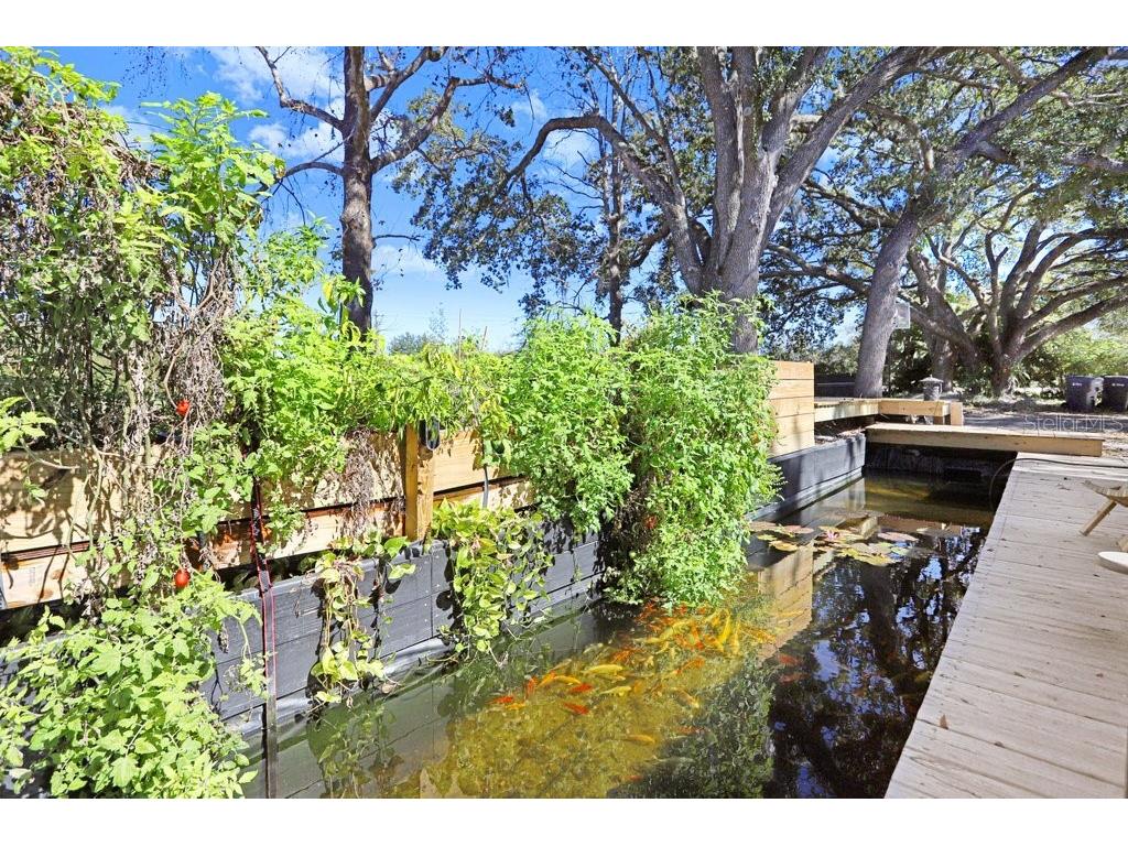 17308 Tobacco Road Lutz FL 33558 TB8473838 image4