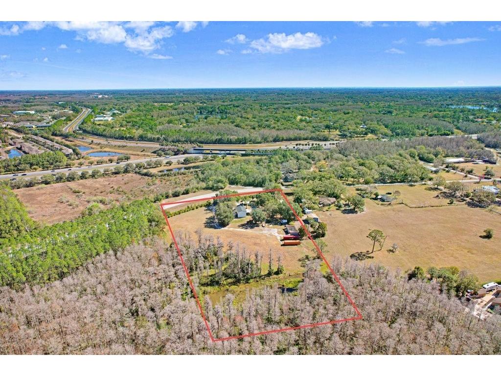 17308 Tobacco Road Lutz FL 33558 TB8473838 image40