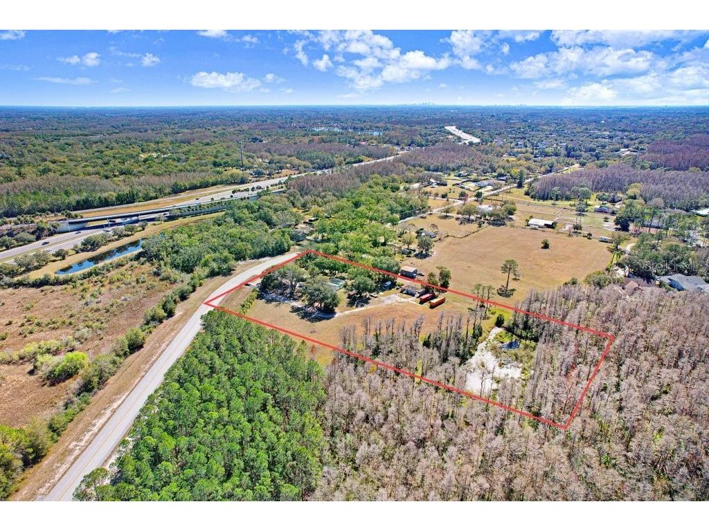 17308 Tobacco Road Lutz FL 33558 TB8473838 image41