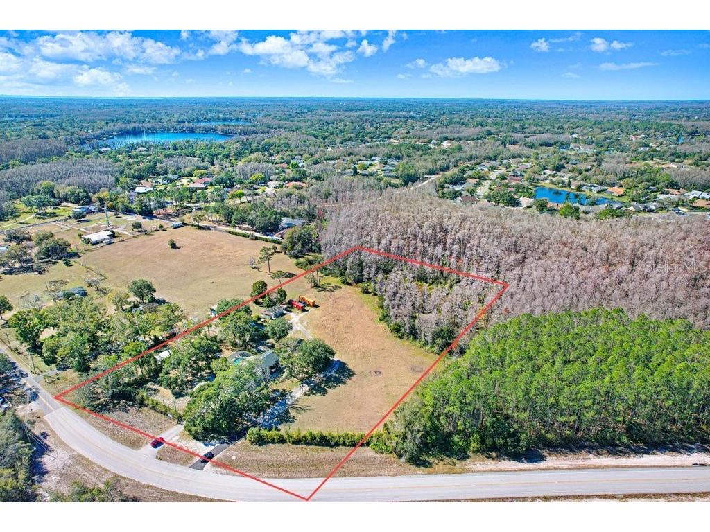 17308 Tobacco Road Lutz FL 33558 TB8473838 image43