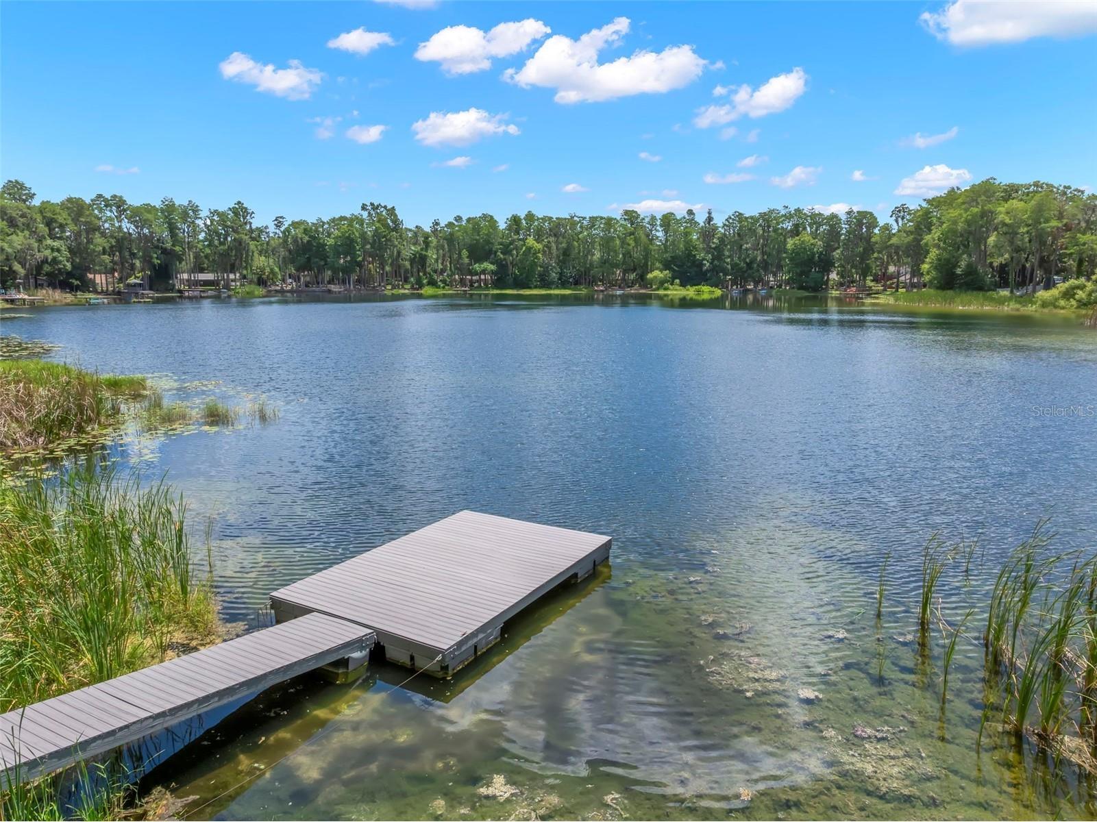 17309 N Dale Mabry Highway Lutz FL 33548 - Round Lake TB8511268 image1