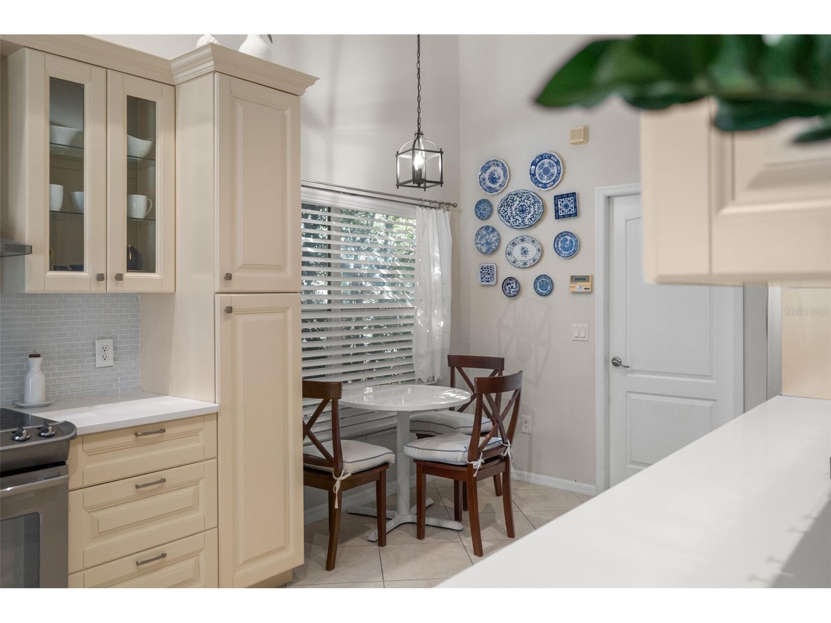 1731 Capri Lane Tarpon Springs FL 34689 TB8473209 image12
