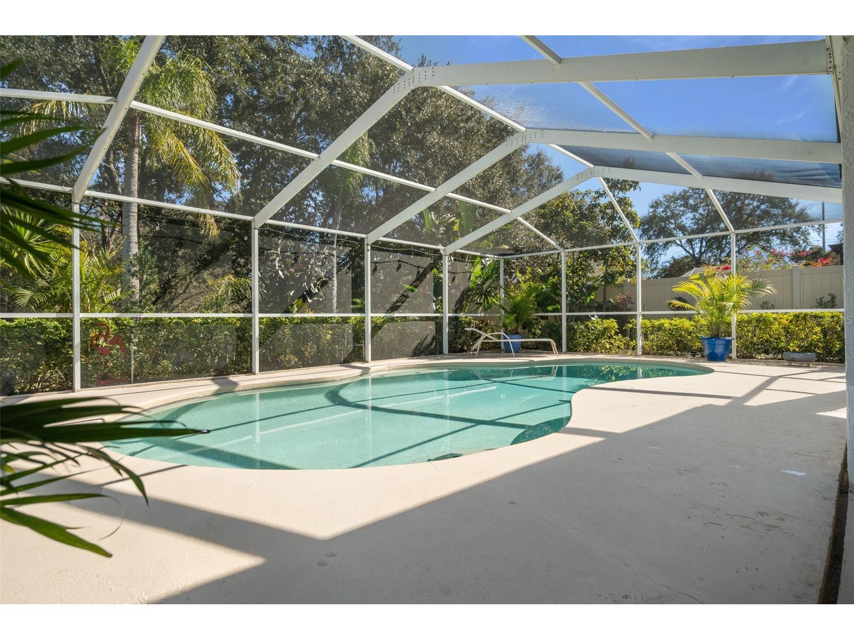 1731 Capri Lane Tarpon Springs FL 34689 TB8473209 image27