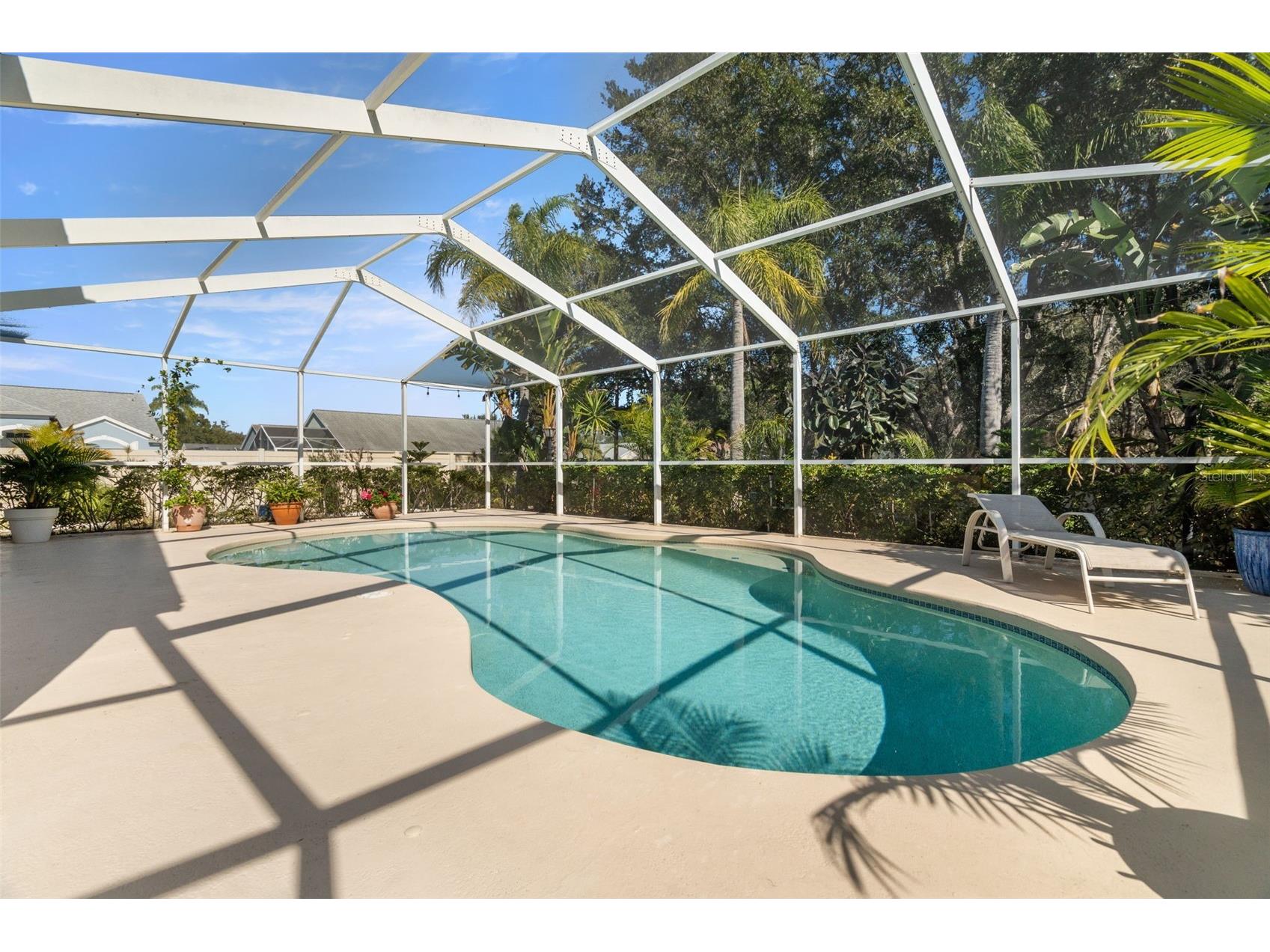 1731 Capri Lane Tarpon Springs FL 34689 TB8473209 image30