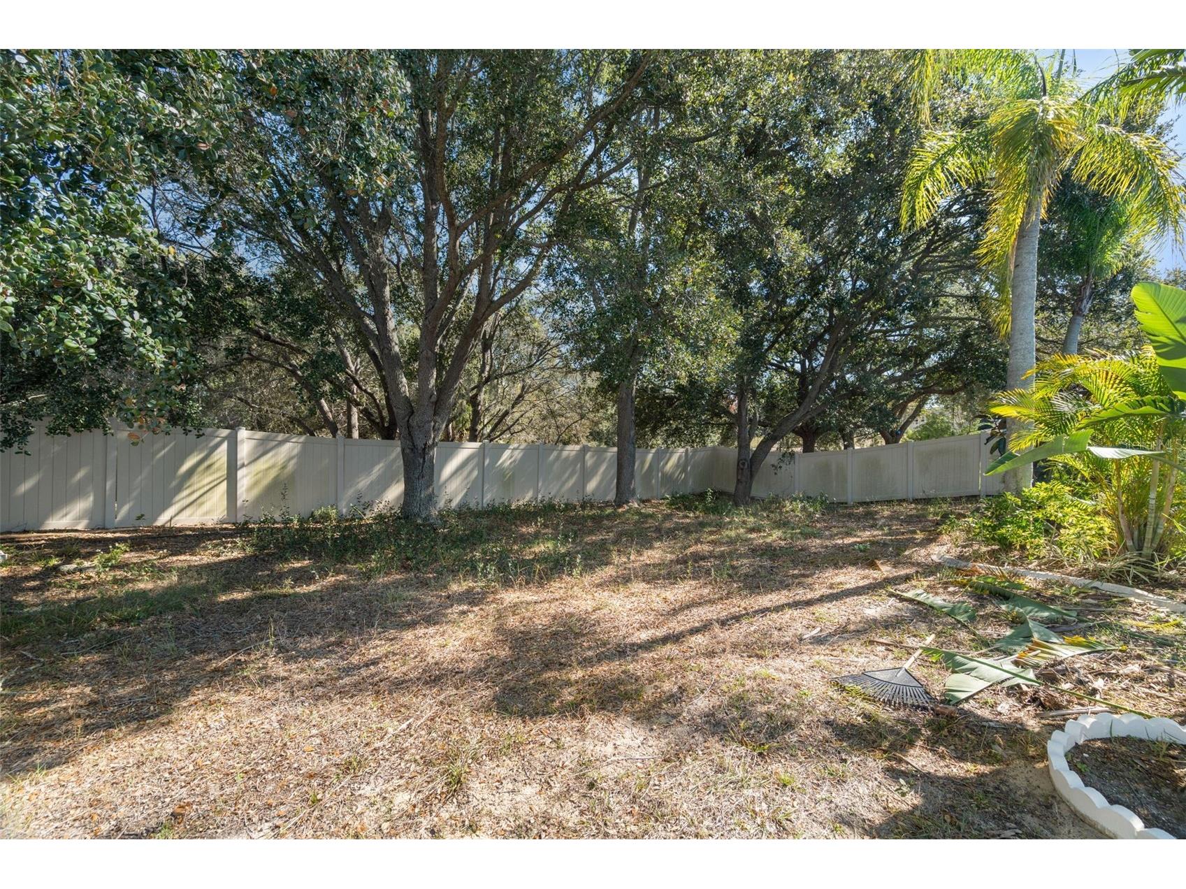 1731 Capri Lane Tarpon Springs FL 34689 TB8473209 image33