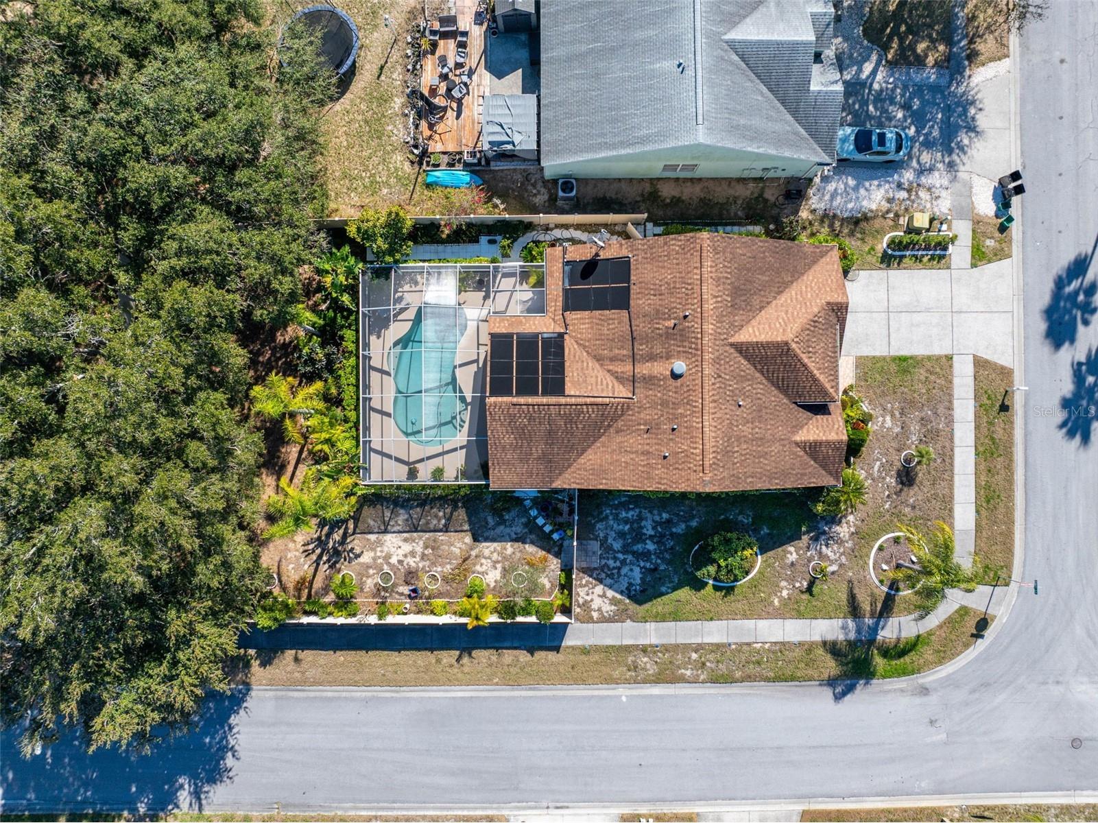 1731 Capri Lane Tarpon Springs FL 34689 TB8473209 image43