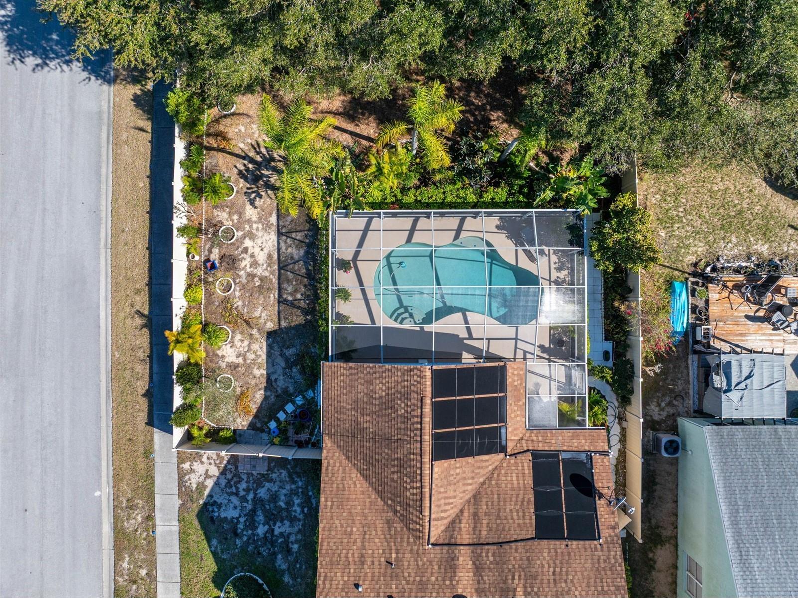 1731 Capri Lane Tarpon Springs FL 34689 TB8473209 image44