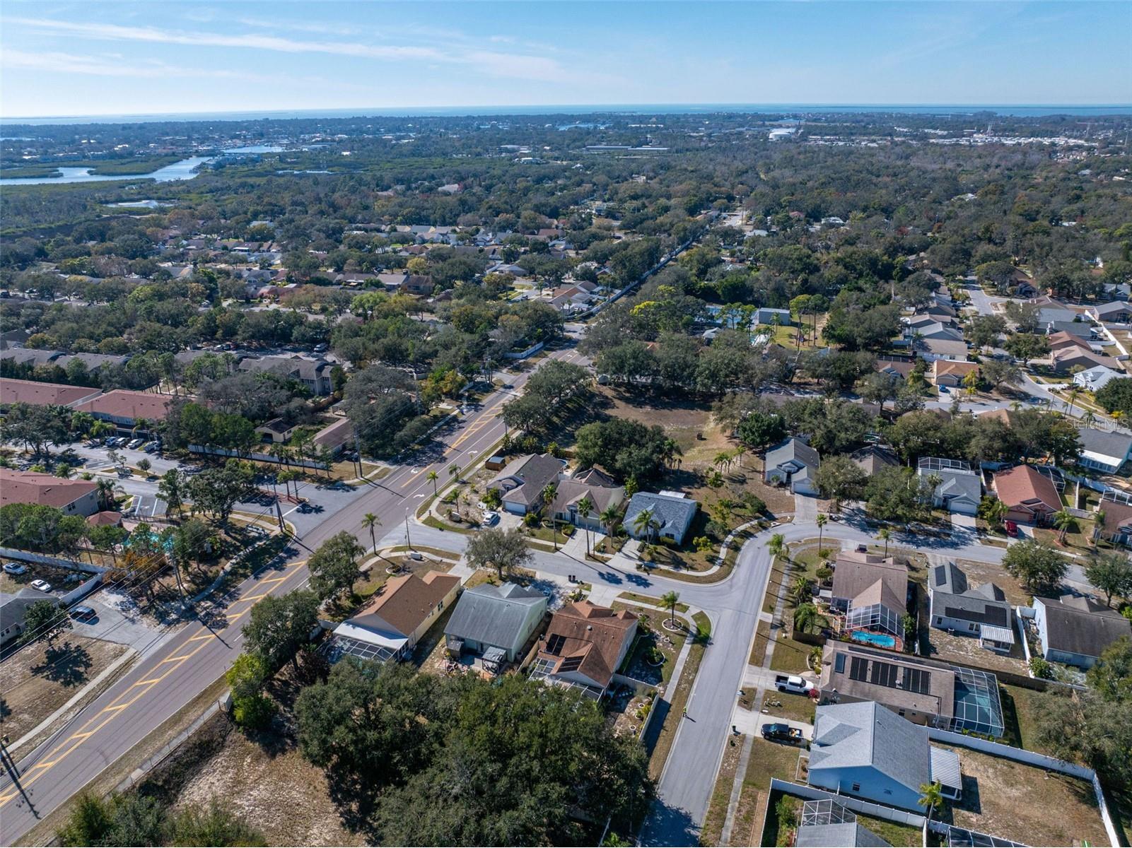 1731 Capri Lane Tarpon Springs FL 34689 TB8473209 image50