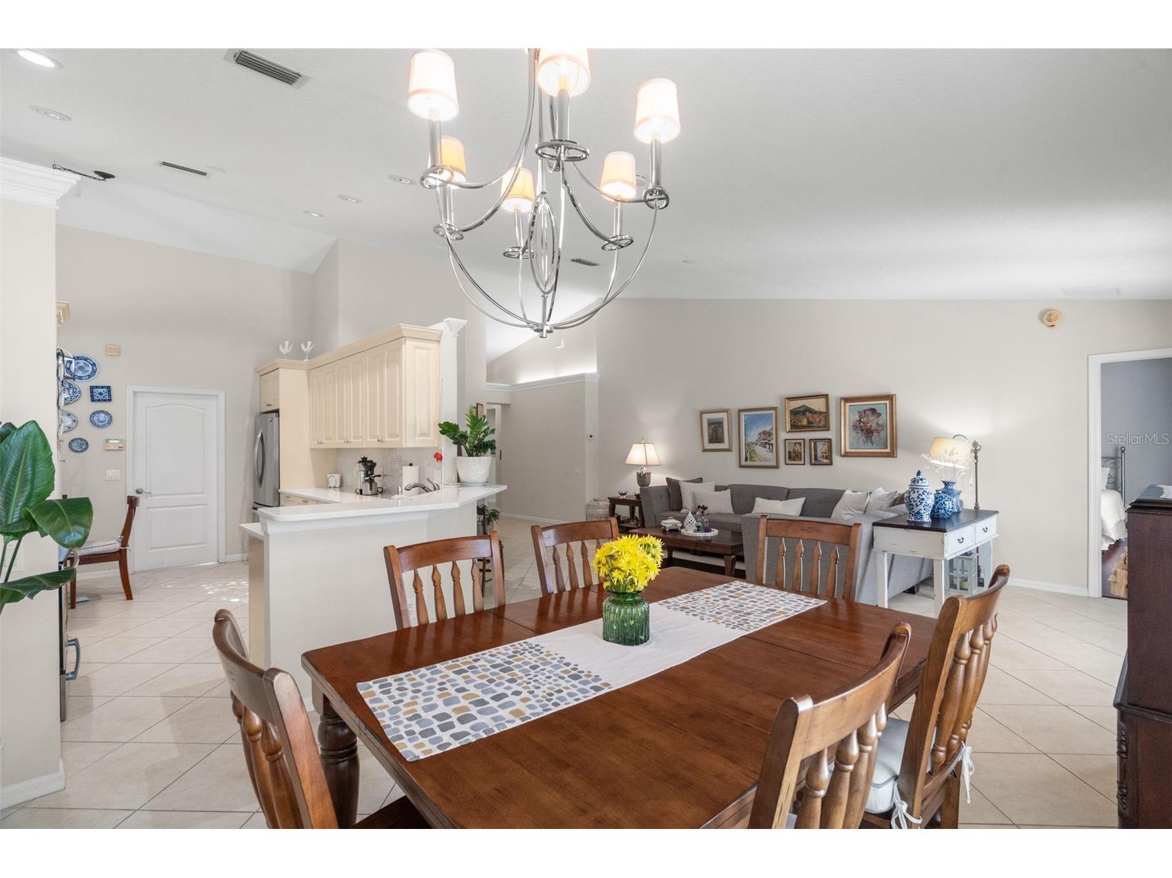 1731 Capri Lane Tarpon Springs FL 34689 TB8473209 image7
