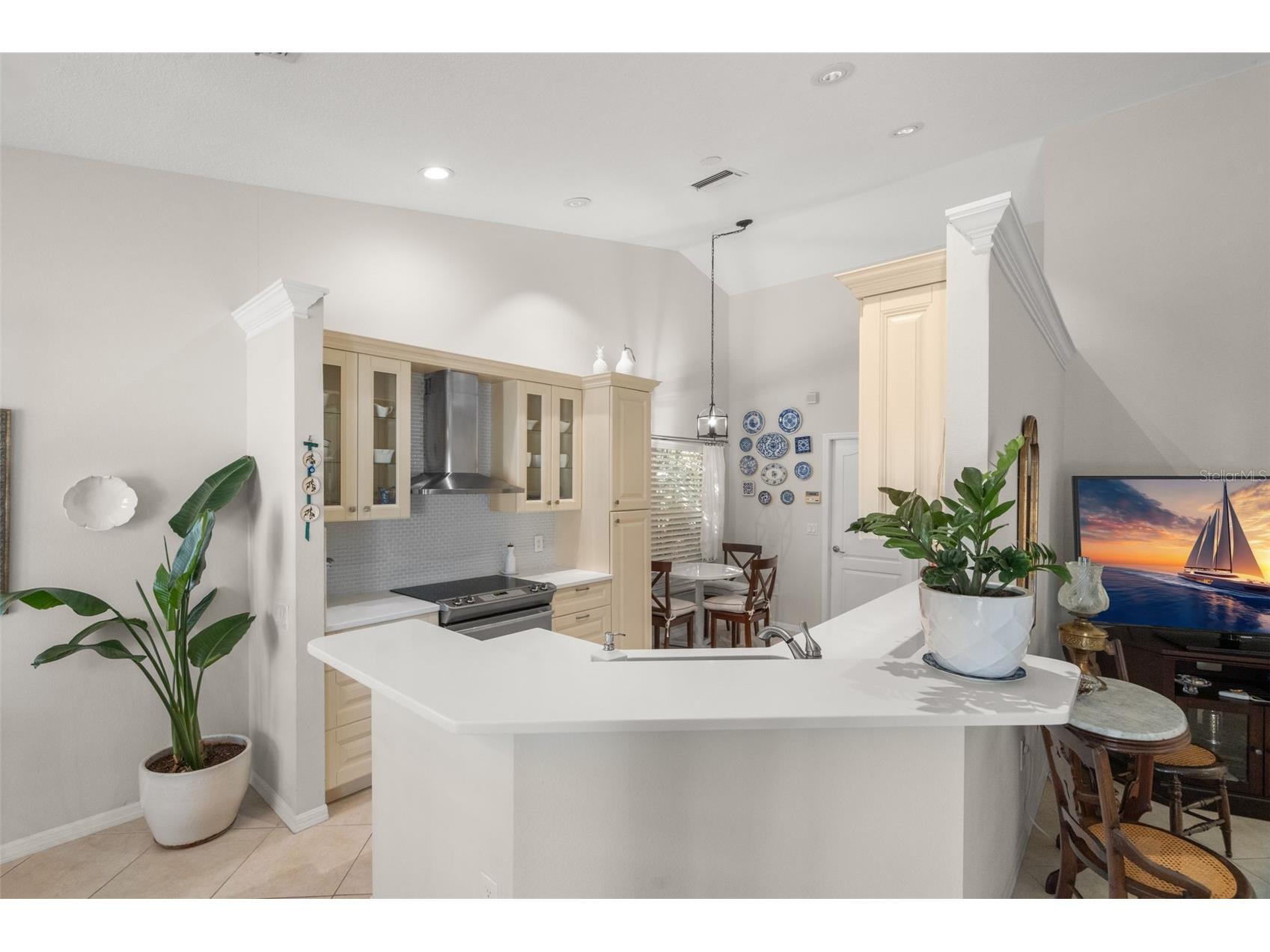 1731 Capri Lane Tarpon Springs FL 34689 TB8473209 image9
