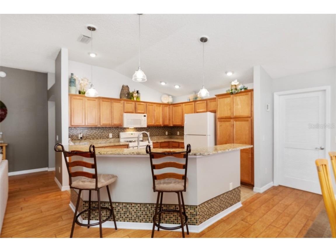 1731 Mount Carmel Terrace The Villages FL 32162 G5099477 image10