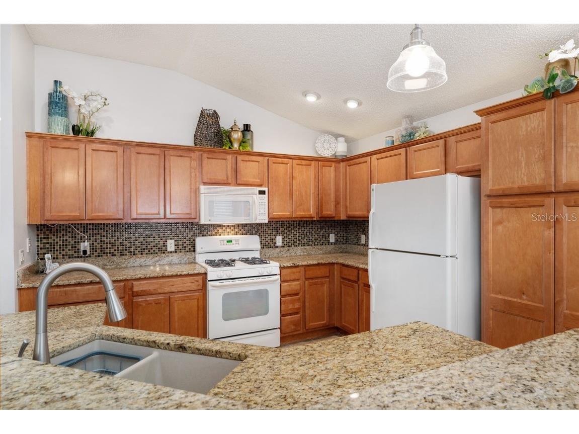 1731 Mount Carmel Terrace The Villages FL 32162 G5099477 image11