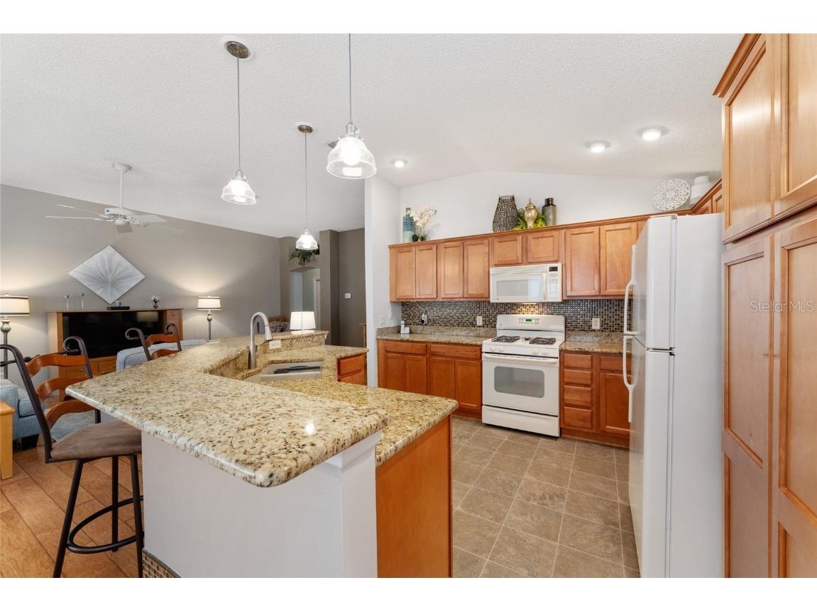 1731 Mount Carmel Terrace The Villages FL 32162 G5099477 image12