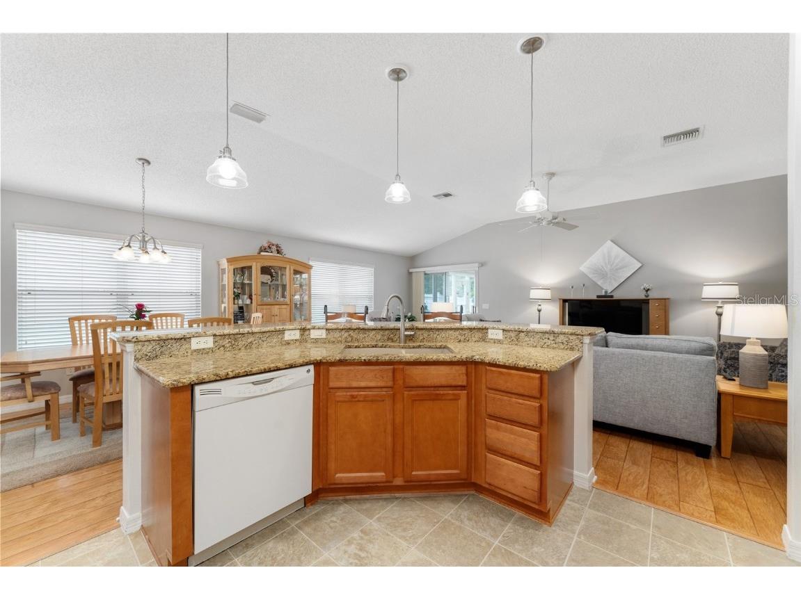 1731 Mount Carmel Terrace The Villages FL 32162 G5099477 image13